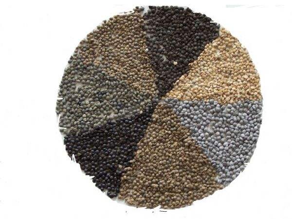 1537416005213265.jpg 3.jpg